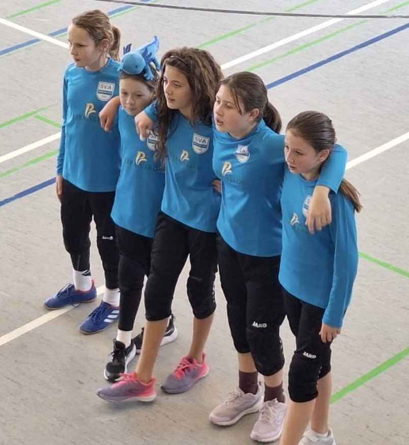 SV Amstetten Berichte Faustball