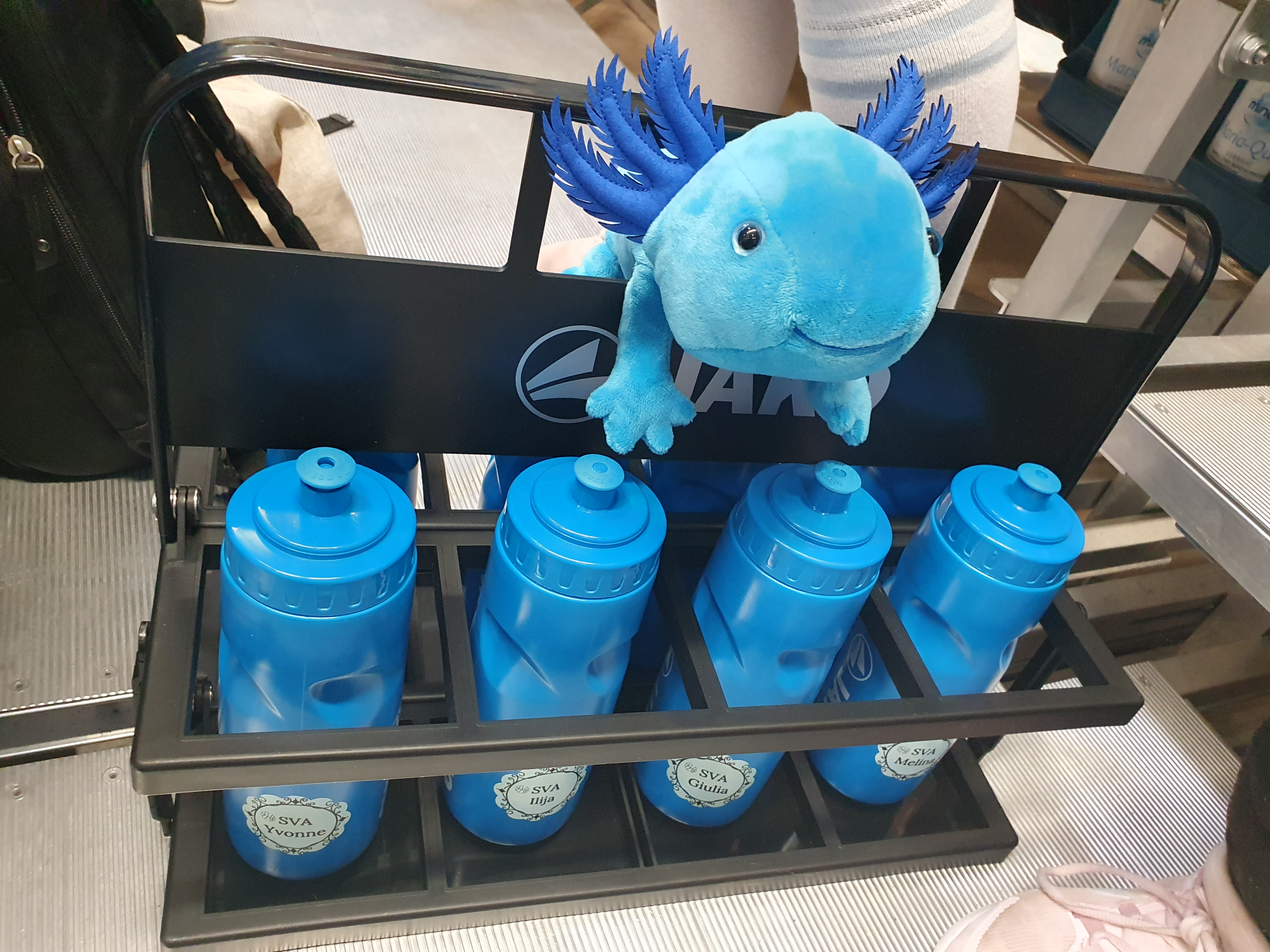 Deutsche Meisterschaften U12 weiblich SV Amstetten